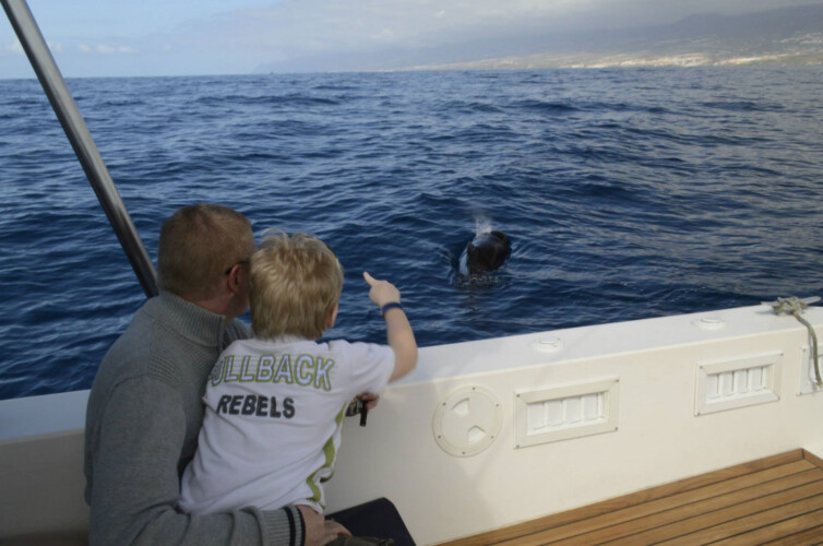 Avistamiento de ballenas en el océano azul Tenerife 15