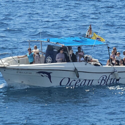 Avistamiento de ballenas en el océano azul Tenerife 17