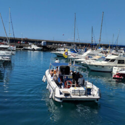 Avistamiento de ballenas azules en Tenerife 18