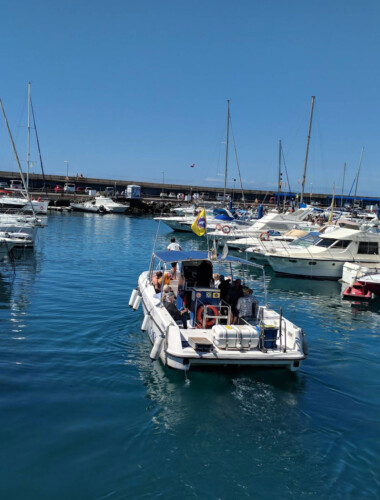 Avistamiento de ballenas azules en Tenerife 18