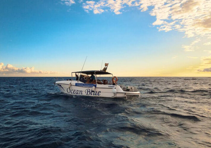 Avistamiento de ballenas azules en Tenerife 2