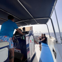 Avistamiento de ballenas en el océano azul Tenerife 20