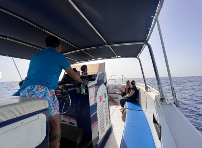Avistamiento de ballenas en el océano azul Tenerife 20