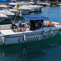 Avistamiento de ballenas en el océano azul Tenerife 21