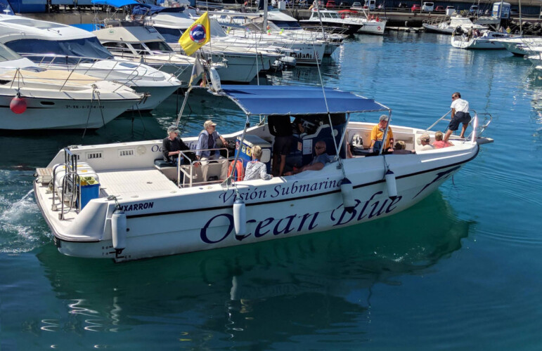 Avistamiento de ballenas en el océano azul Tenerife 21