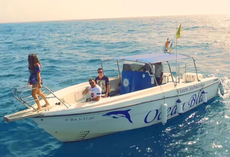 Avistamiento de ballenas en el océano azul Tenerife 22