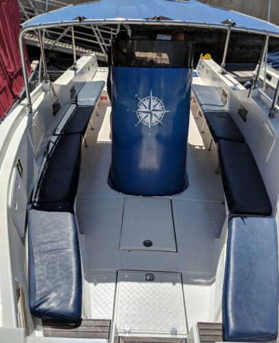 Avistamiento de ballenas en el océano azul Tenerife 23