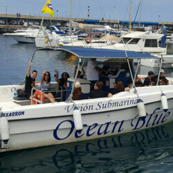 Avistamiento de ballenas azules en Tenerife 3