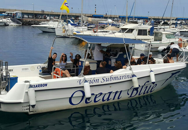 Avistamiento de ballenas azules en Tenerife 3