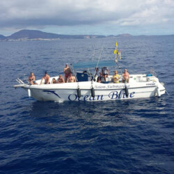 Avistamiento de ballenas en el océano azul Tenerife 4