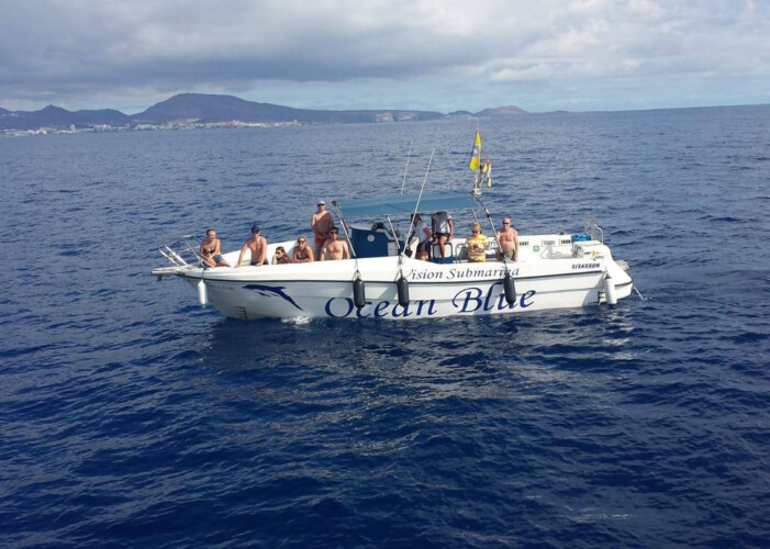 Avistamiento de ballenas en el océano azul Tenerife 4