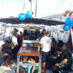 Avistamiento de ballenas en el océano azul de Tenerife 5