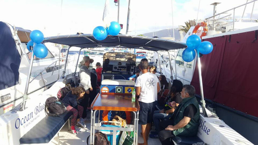 Avistamiento de ballenas en el océano azul de Tenerife 5