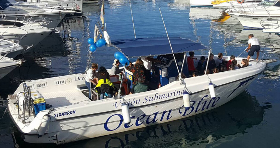 Avistamiento de ballenas en el océano azul Tenerife 6