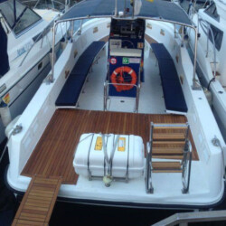 Avistamiento de ballenas en el océano azul Tenerife 8