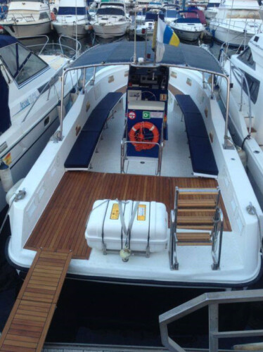 Avistamiento de ballenas en el océano azul Tenerife 8