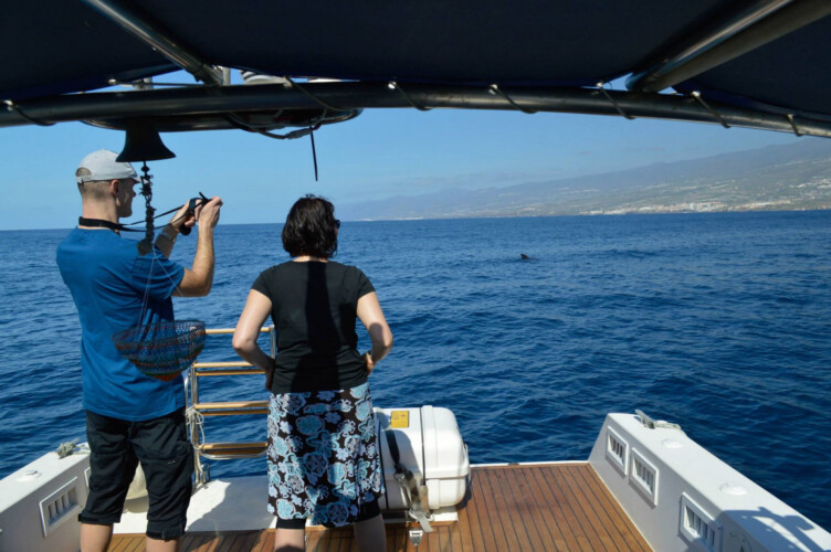 Avistamiento de ballenas en el océano azul Tenerife 9