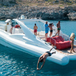 Opera 60 Whale Watching Tenerife 10