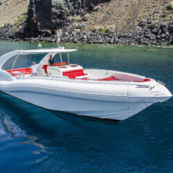 Opera 60 Whale Watching Tenerife 16