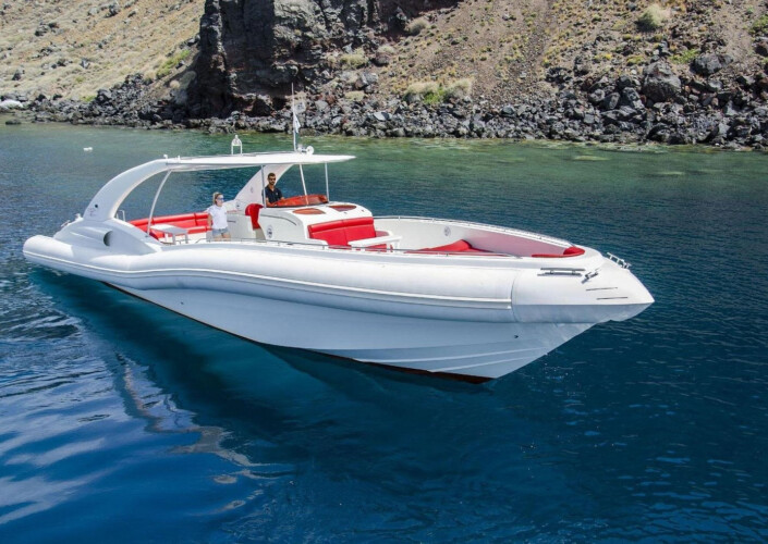 Opera 60 Whale Watching Tenerife 16