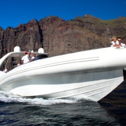 Opera 60 Whale Watching Tenerife 2