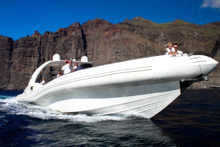 Opera 60 Whale Watching Tenerife 2