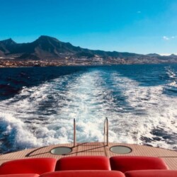 Opera 60 Whale Watching Tenerife 4