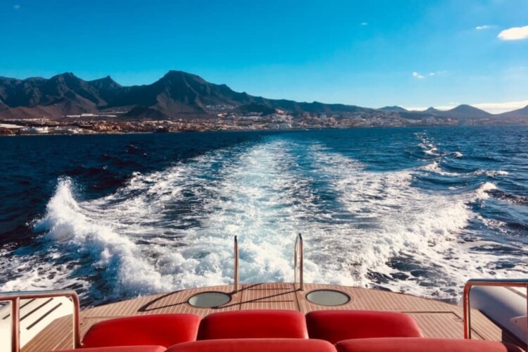 Opera 60 Whale Watching Tenerife 4