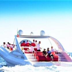 Opera 60 Whale Watching Tenerife 7