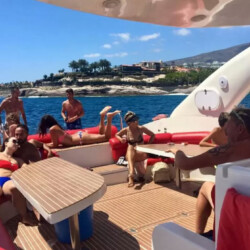 Opera 60 Whale Watching Tenerife 8