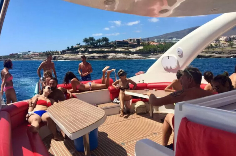 Opera 60 Whale Watching Tenerife 8