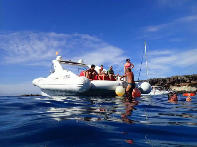 Opera 60 Whale Watching Tenerife 9