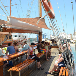 Avistamiento de ballenas Peter Pan Tenerife 10