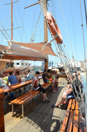 Avistamiento de ballenas Peter Pan Tenerife 10