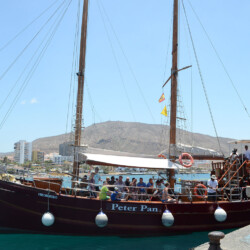 Avistamiento de ballenas Peter Pan Tenerife 12
