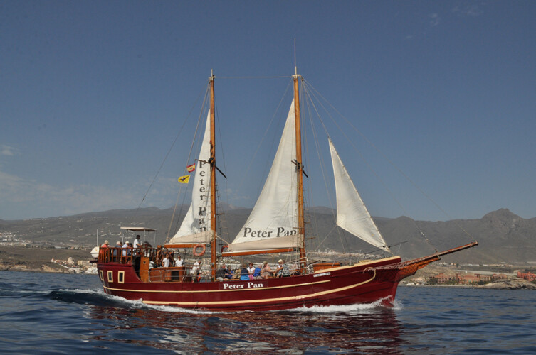 Avistamiento de ballenas Peter Pan Tenerife 6