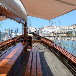 Avistamiento de ballenas Peter Pan Tenerife 7