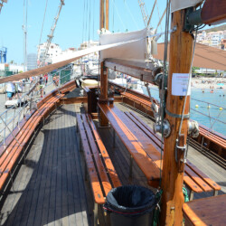 Avistamiento de ballenas Peter Pan Tenerife 8