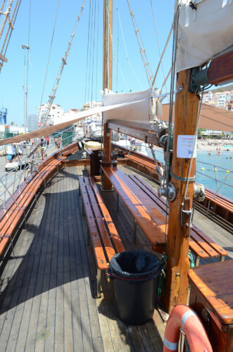 Avistamiento de ballenas Peter Pan Tenerife 8