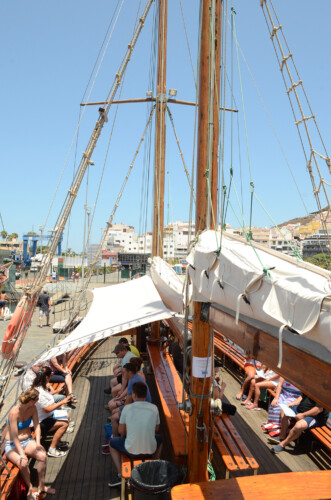 Avistamiento de ballenas Peter Pan Tenerife 9