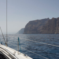 Avistamiento de cetáceos con sangría en Tenerife 11