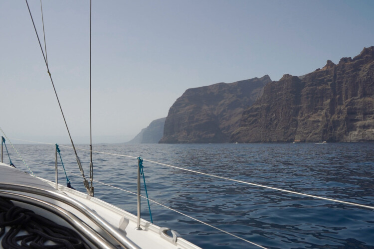 Avistamiento de cetáceos con sangría en Tenerife 11