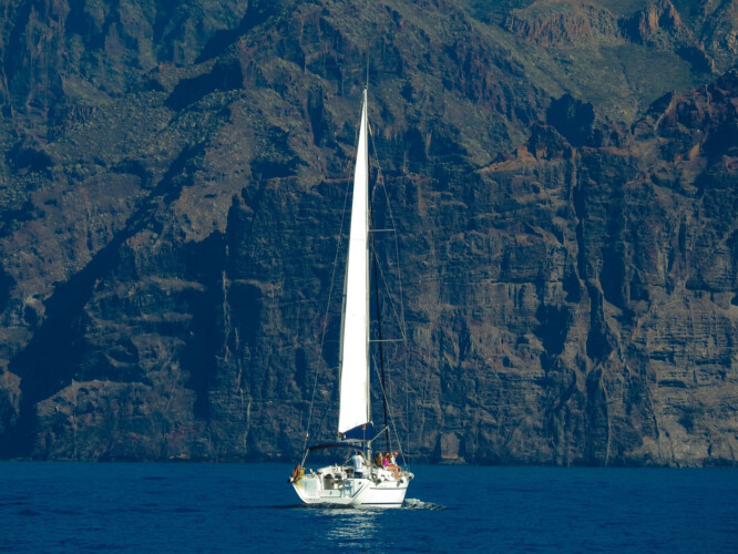 Avistamiento de cetáceos con sangría en Tenerife 12