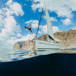 Avistamiento de cetáceos con sangría en Tenerife 14