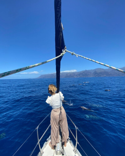 Avistamiento de cetáceos con sangría en Tenerife 17