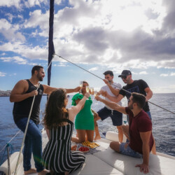 Avistamiento de cetáceos con sangría en Tenerife 19