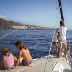 Avistamiento de cetáceos con sangría en Tenerife 22