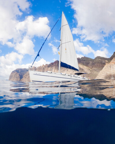 Avistamiento de cetáceos con sangría en Tenerife 27