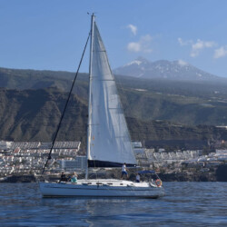 Avistamiento de ballenas con sangría en Tenerife 3
