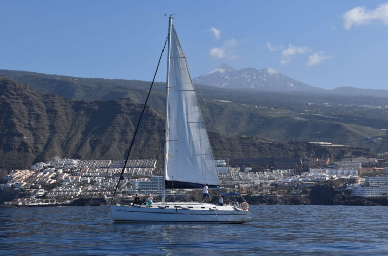 Avistamiento de ballenas con sangría en Tenerife 3